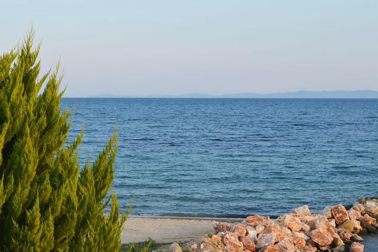 Lemon Beach Front Apartment, Nikiti Buitenkant foto